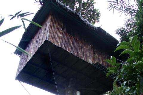 Coffee Acres Plantation Resort Kalpatta Chambre photo