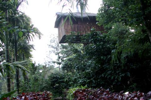 Coffee Acres Plantation Resort Kalpatta Chambre photo